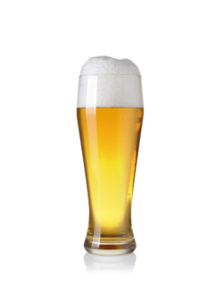 חיטה בווארית Bavarian wheat (רכז וגרעינים)
