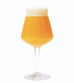 מתכון בירת ניפה - New England IPA  (רכז וגרעינים)