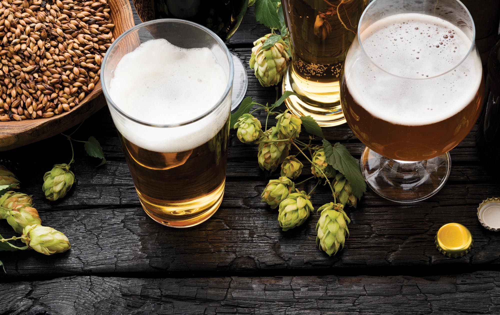 DIY home brewing beer and wine survival shtf prepper water food