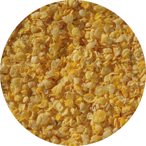 Malt single flaked torrefied maize 796 x 796