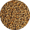 לתת אמבר - Amber malt