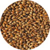 לתת בראון - Brown malt