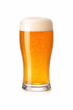 ChatGPT Image Jan 19, 2026, 10 10 26 PM