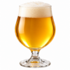 Złocisty belgijski witbier w kielichu tulipanowym