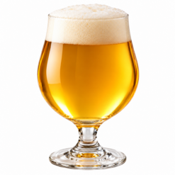 Złocisty belgijski witbier w kielichu tulipanowym